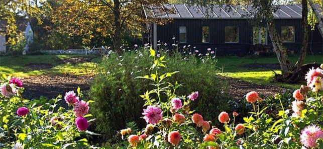 Naturterapihaven Aurora