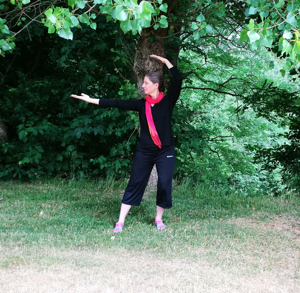 Qigong – meditation i bevægelse