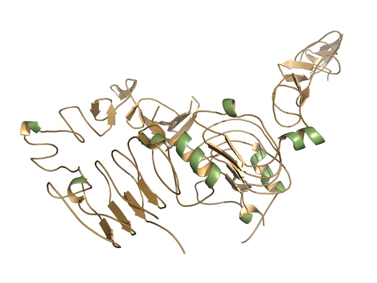 20. marts tager Medicinrådet en vigtig beslutning om brystkræftbehandling