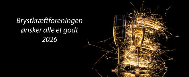 Brystkræftforeningens Nyhedsbrev December 2025