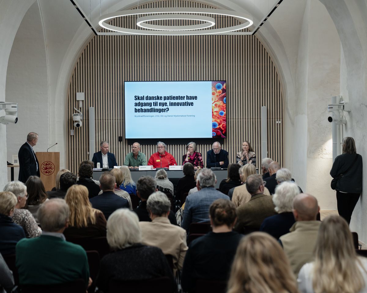 Velbesøgt høring på Christiansborg 6. november