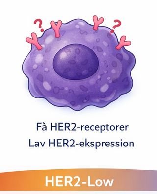 Lægemiddel godkendt til HER2Low brystkræft med spredning