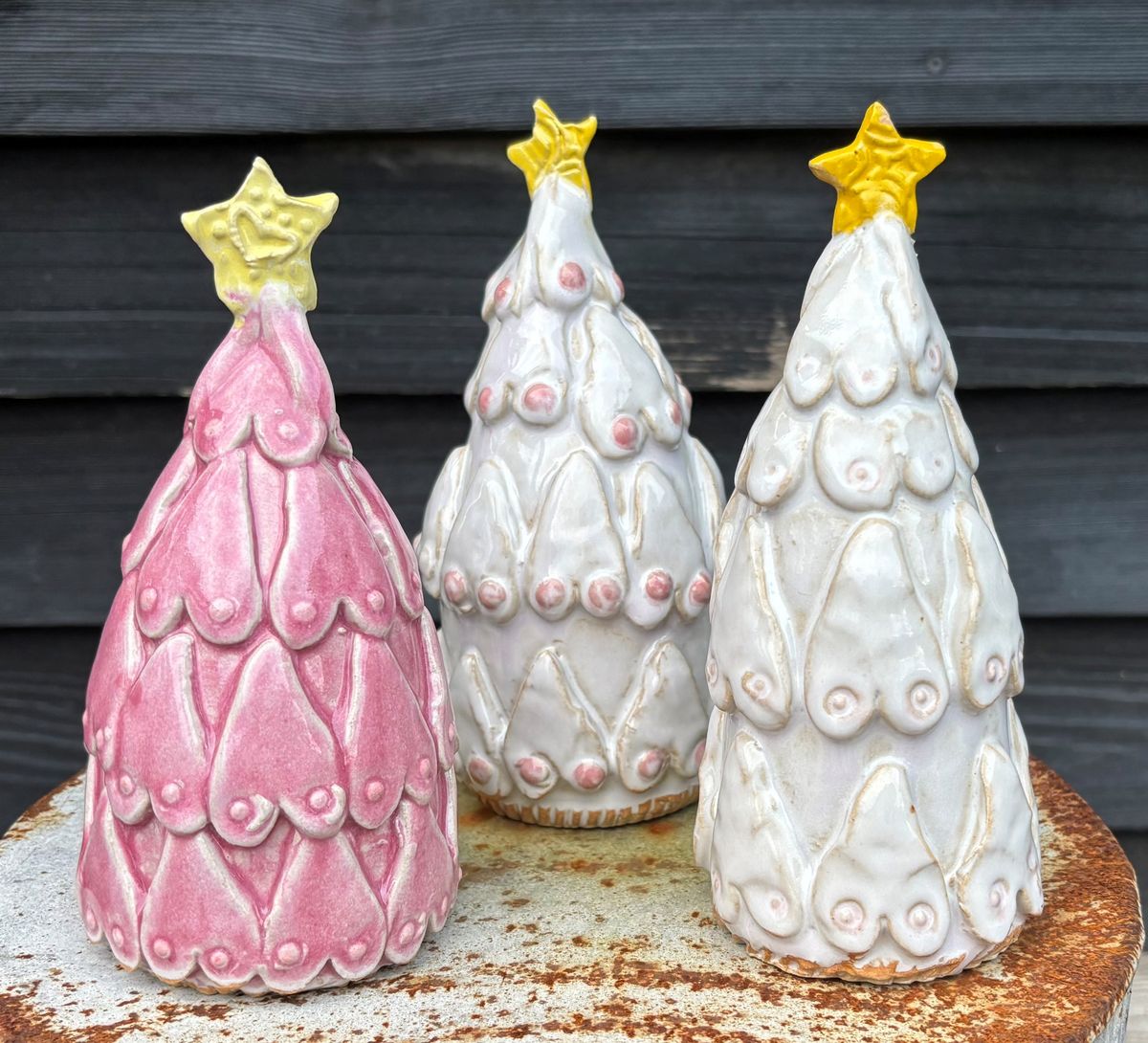 Merry Breastmas projekt gav en donation på 15.000 kr.