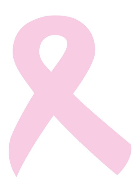 Kreds Sydsjælland samlede ind til Støt Brysterne