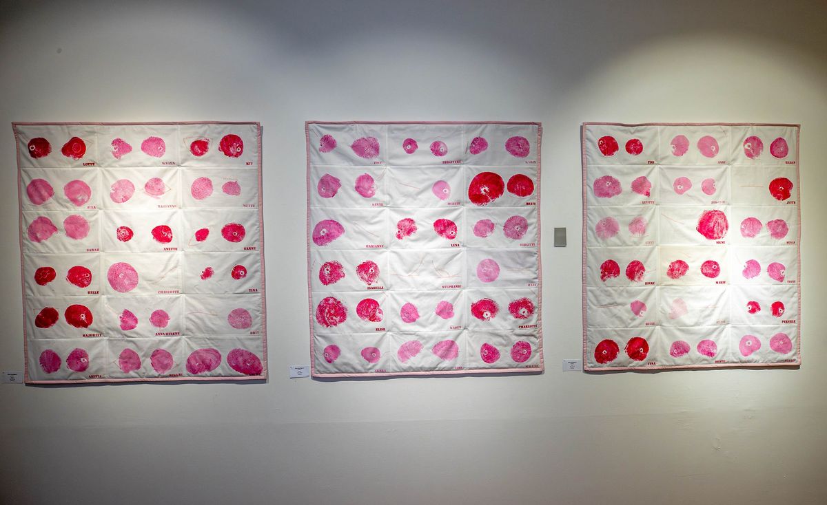 AFTRYK af 66 brystopererede personer på udstilling i Hillerød