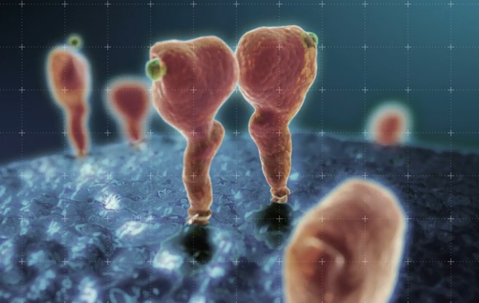 Svenske myndigheder godkender lægemiddel til HER2 Low